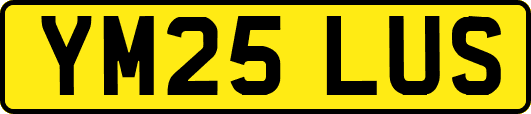 YM25LUS