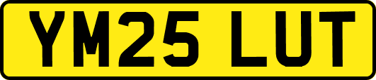 YM25LUT