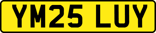 YM25LUY