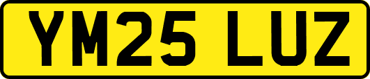 YM25LUZ