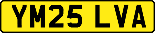 YM25LVA