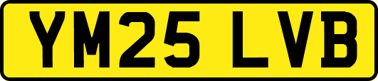 YM25LVB