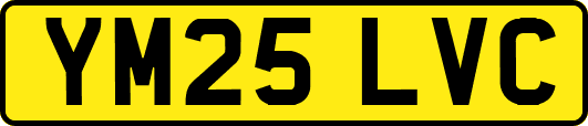 YM25LVC