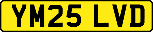 YM25LVD