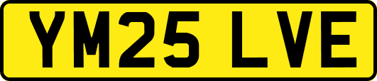 YM25LVE