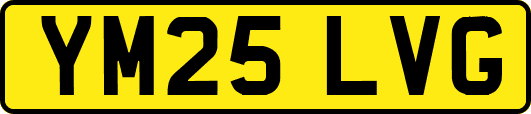 YM25LVG
