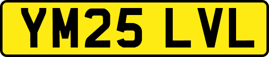 YM25LVL
