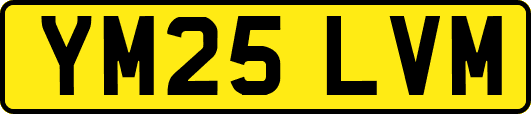 YM25LVM