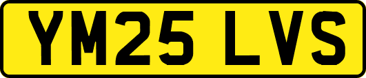 YM25LVS