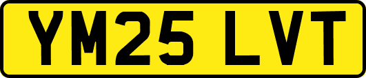 YM25LVT