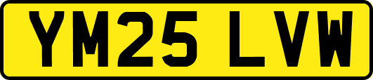 YM25LVW