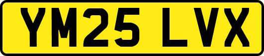 YM25LVX