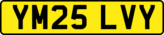 YM25LVY