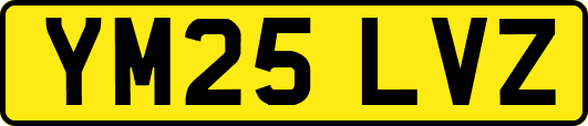 YM25LVZ
