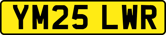 YM25LWR