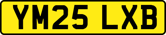 YM25LXB