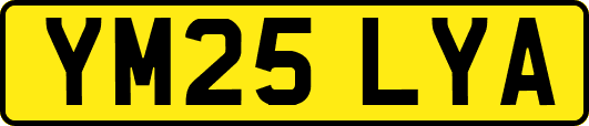YM25LYA