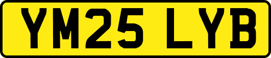 YM25LYB