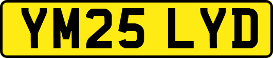 YM25LYD