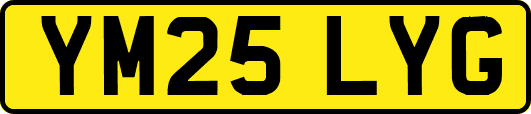 YM25LYG