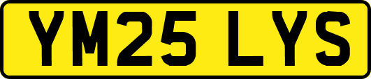 YM25LYS