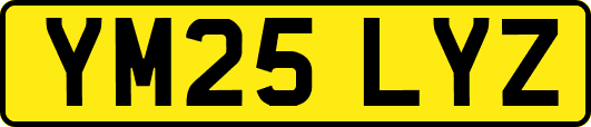 YM25LYZ
