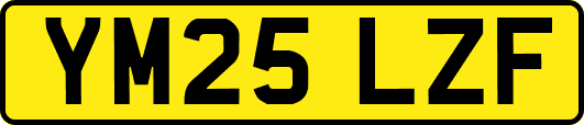 YM25LZF