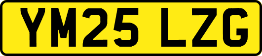 YM25LZG