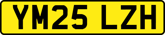YM25LZH