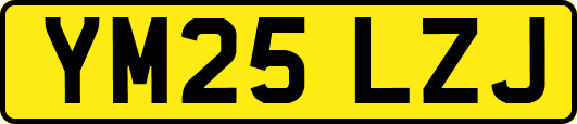 YM25LZJ