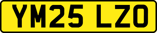 YM25LZO