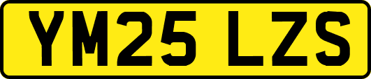 YM25LZS