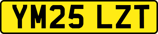 YM25LZT