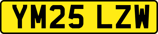 YM25LZW