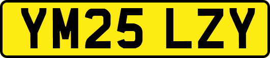 YM25LZY