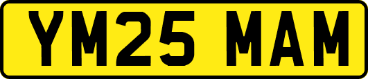 YM25MAM