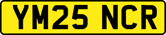 YM25NCR