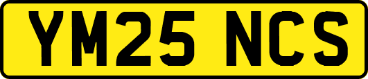 YM25NCS