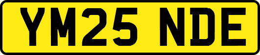 YM25NDE