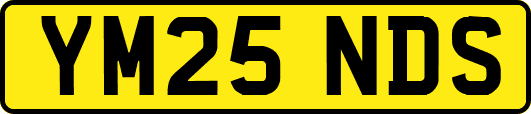 YM25NDS