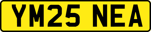 YM25NEA