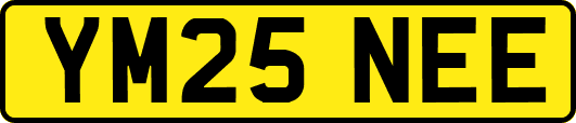 YM25NEE
