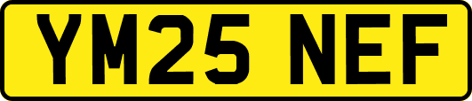 YM25NEF