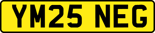 YM25NEG