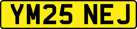 YM25NEJ