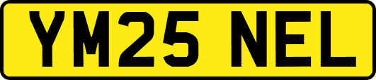 YM25NEL