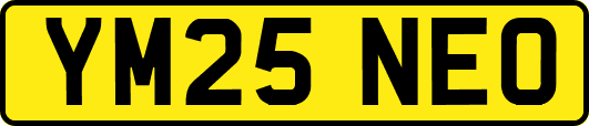YM25NEO