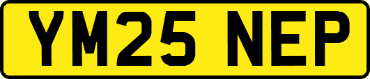YM25NEP