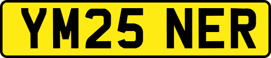 YM25NER