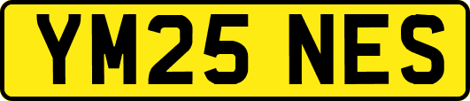 YM25NES
